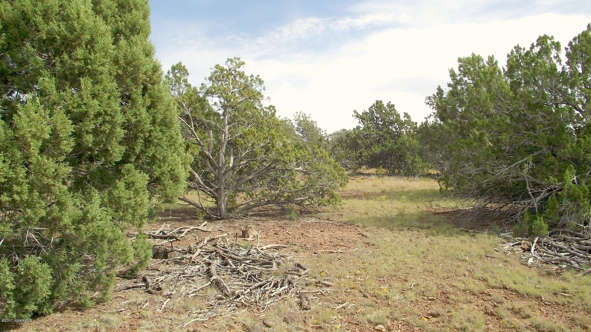 7780 North Rocky Ridge Road Williams, AZ 86046 - Photo 39 of 43 DSCF0128