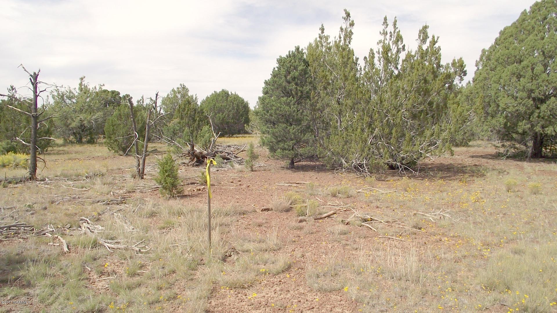 7780 North Rocky Ridge Road Williams, AZ 86046 - Photo 40 of 43 DSCF0129
