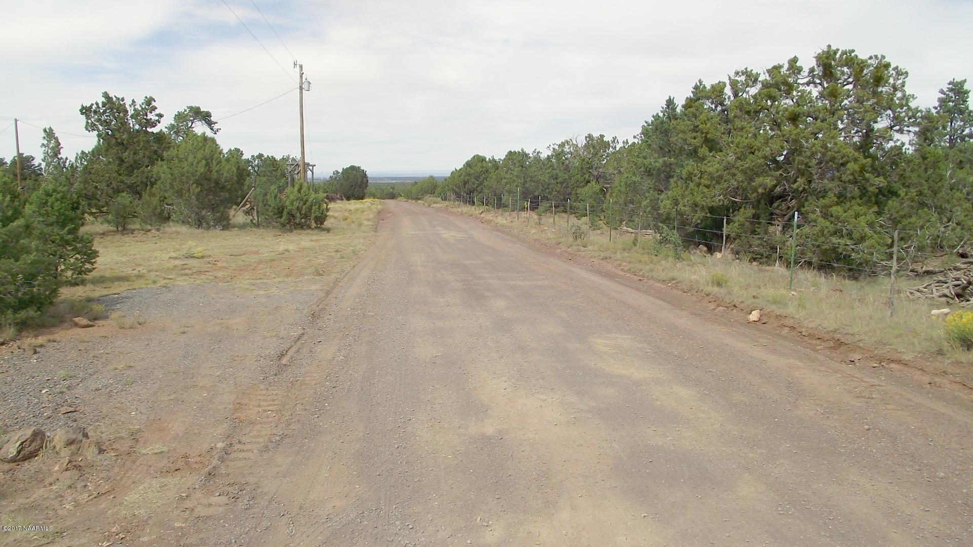 7780 North Rocky Ridge Road Williams, AZ 86046 - Photo 42 of 43 DSCF0131