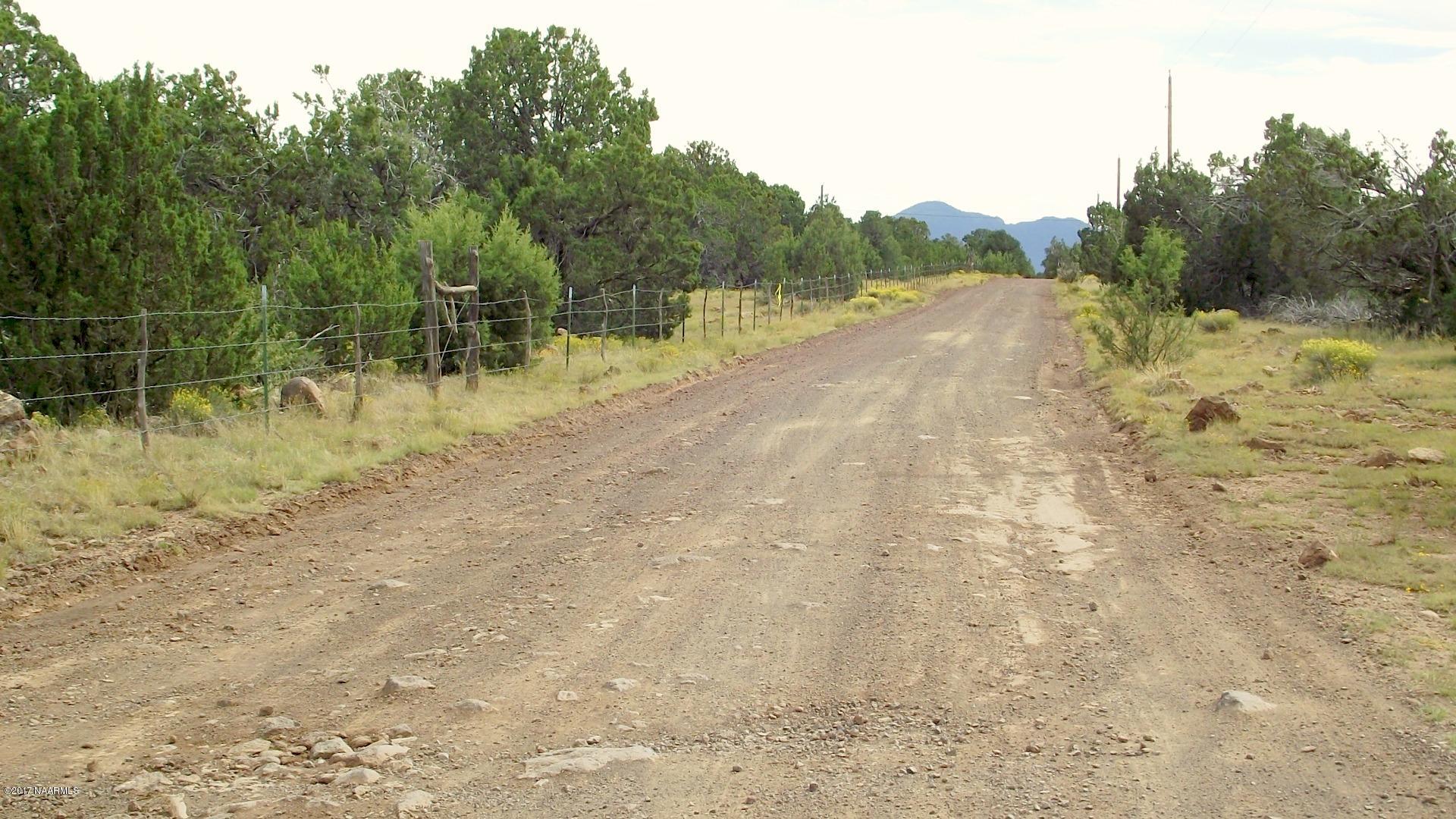 7780 North Rocky Ridge Road Williams, AZ 86046 - Photo 43 of 43 DSCF0132