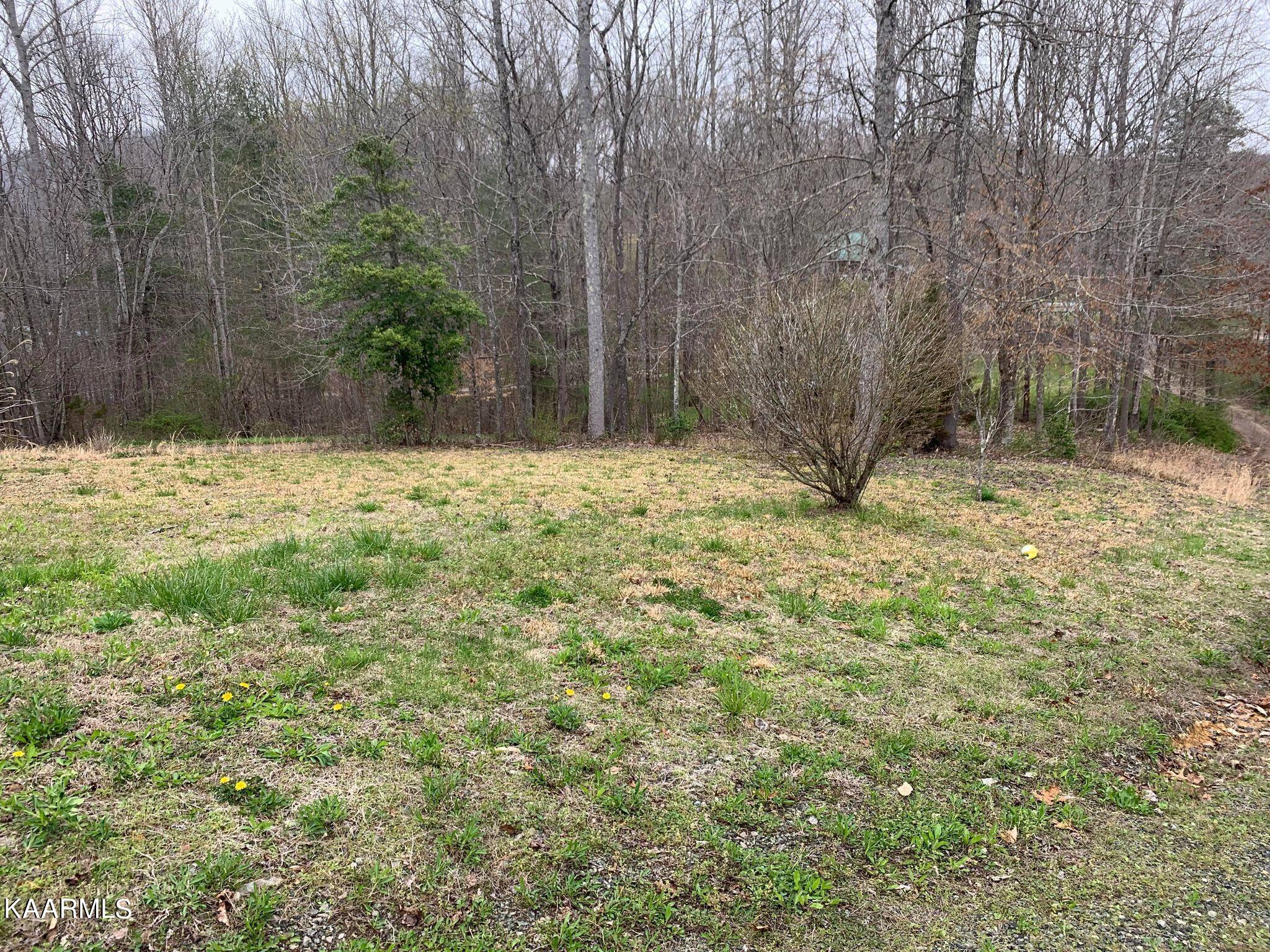 131 Rich Road Lancing, TN 37770 - Photo 29 of 45 277594252_671750110697591_67421630450599