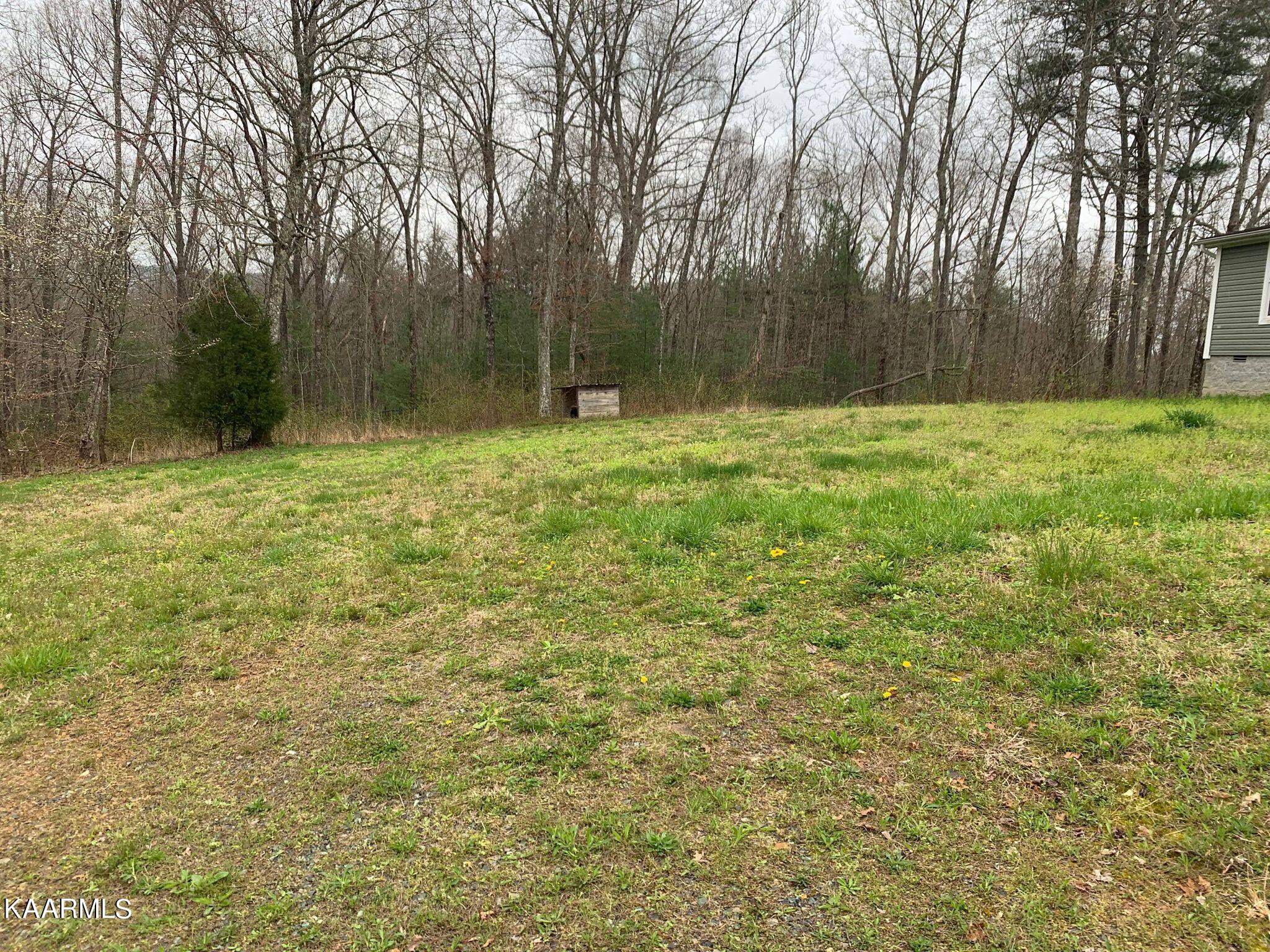 131 Rich Road Lancing, TN 37770 - Photo 30 of 45 277845498_669152500811782_81563585106475
