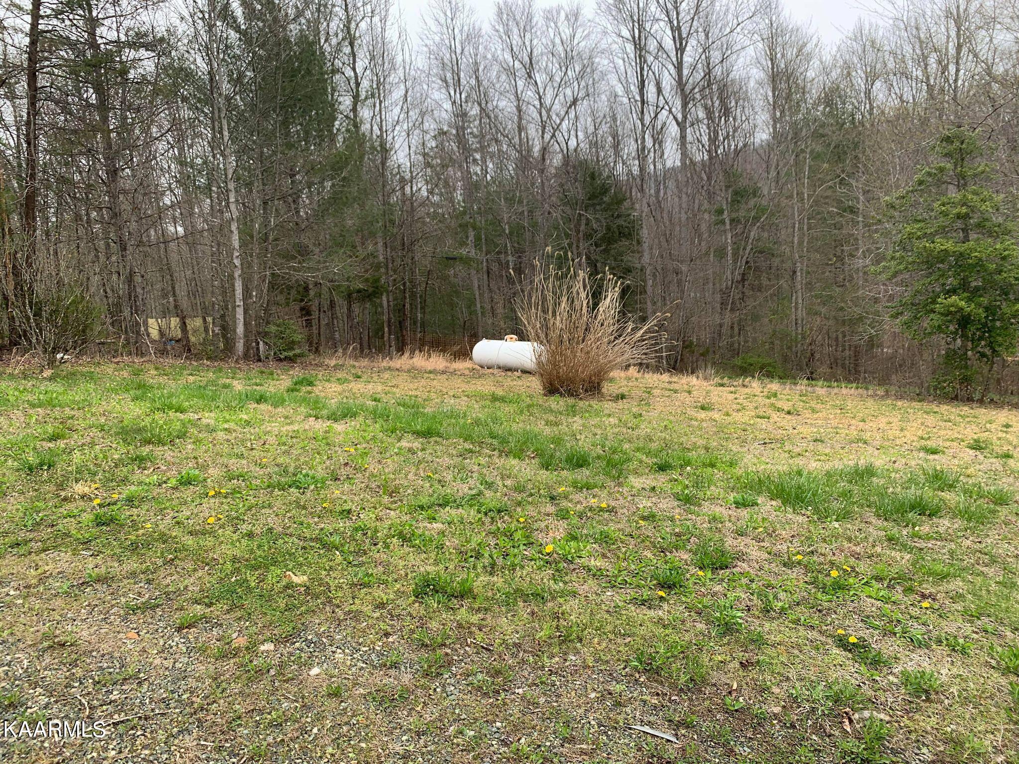 131 Rich Road Lancing, TN 37770 - Photo 33 of 45 277853766_693140558568105_55733890498380