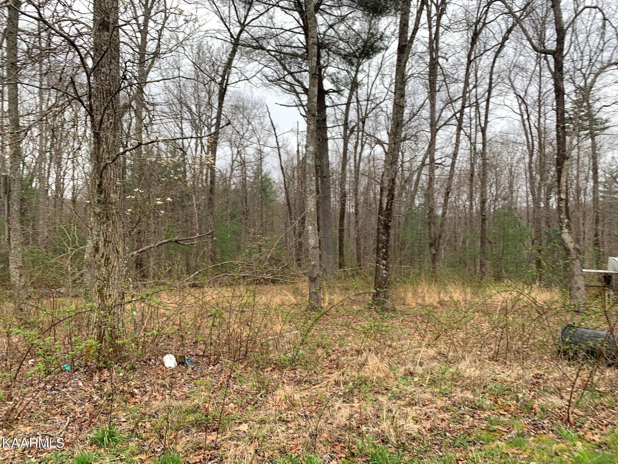131 Rich Road Lancing, TN 37770 - Photo 34 of 45 277844313_1297260560683605_6579388295376