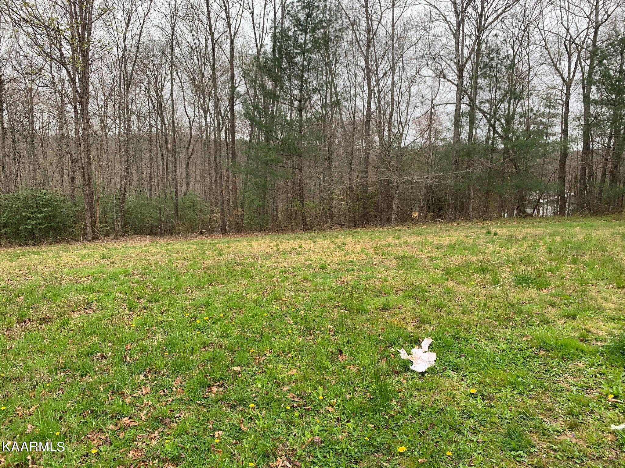 131 Rich Road Lancing, TN 37770 - Photo 35 of 45 277853770_677391086902516_53390801447309