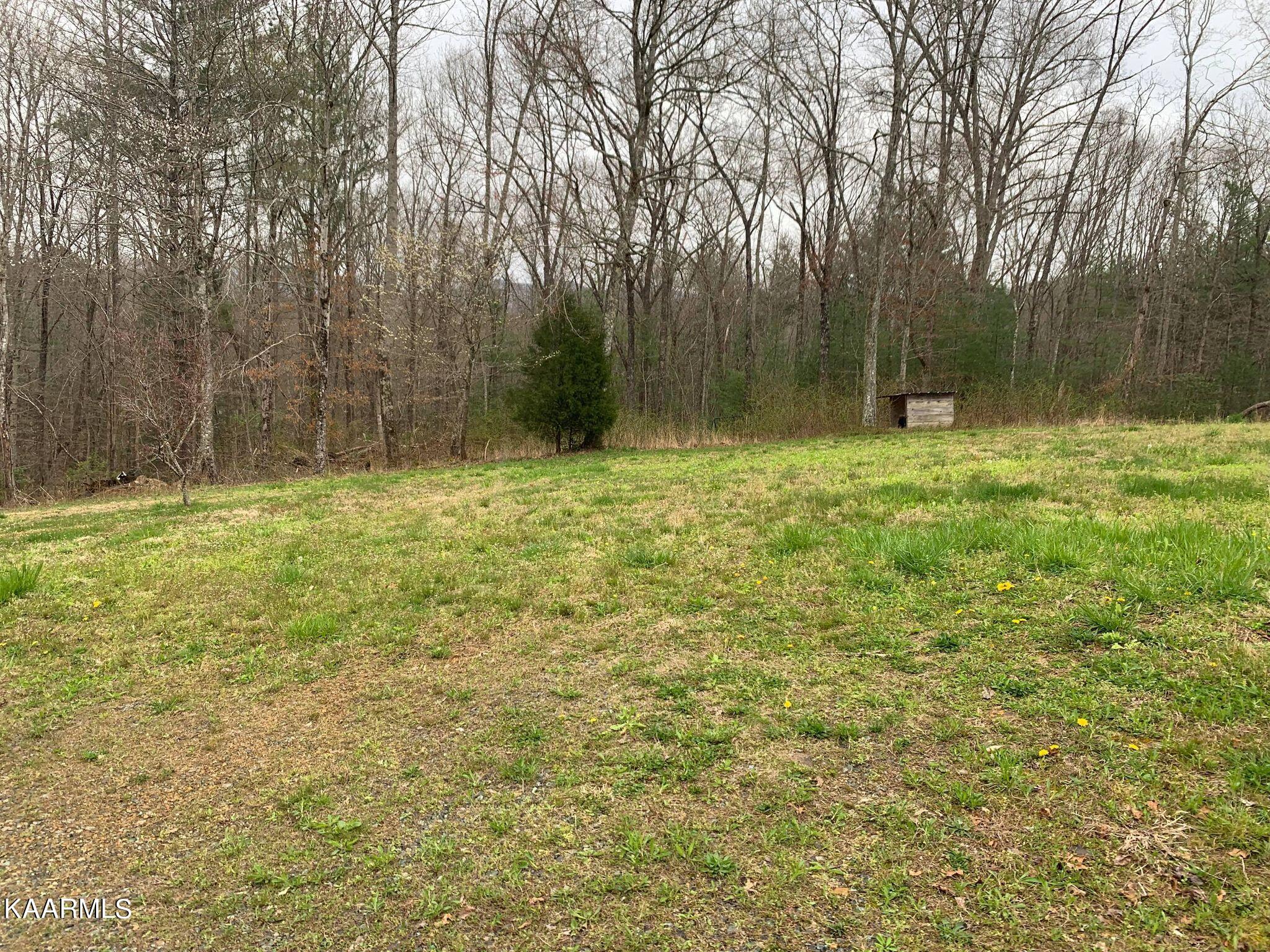 131 Rich Road Lancing, TN 37770 - Photo 37 of 45 277885661_1018512635728560_1181994108867