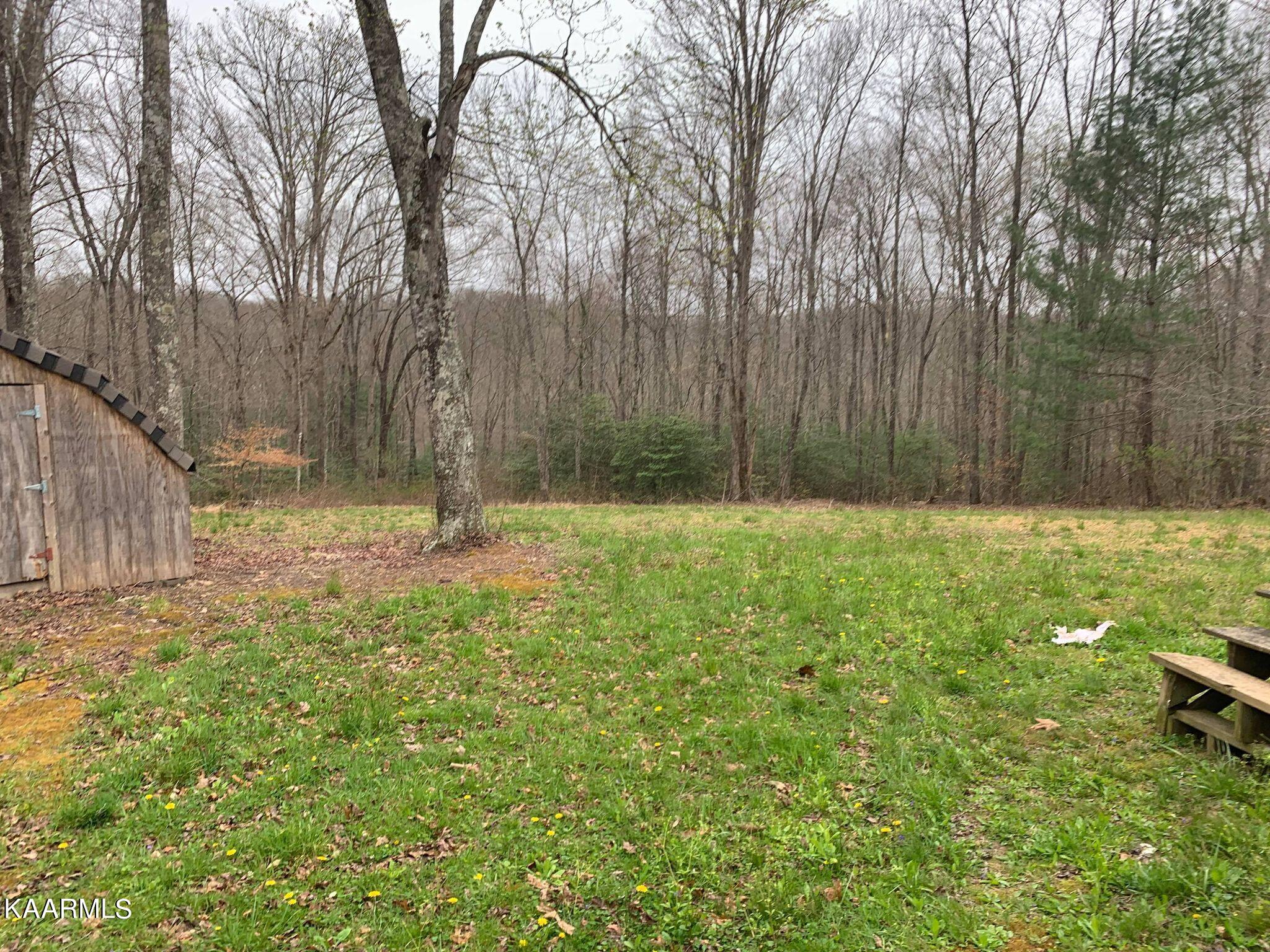 131 Rich Road Lancing, TN 37770 - Photo 38 of 45 277896675_518312639925246_67537473695469