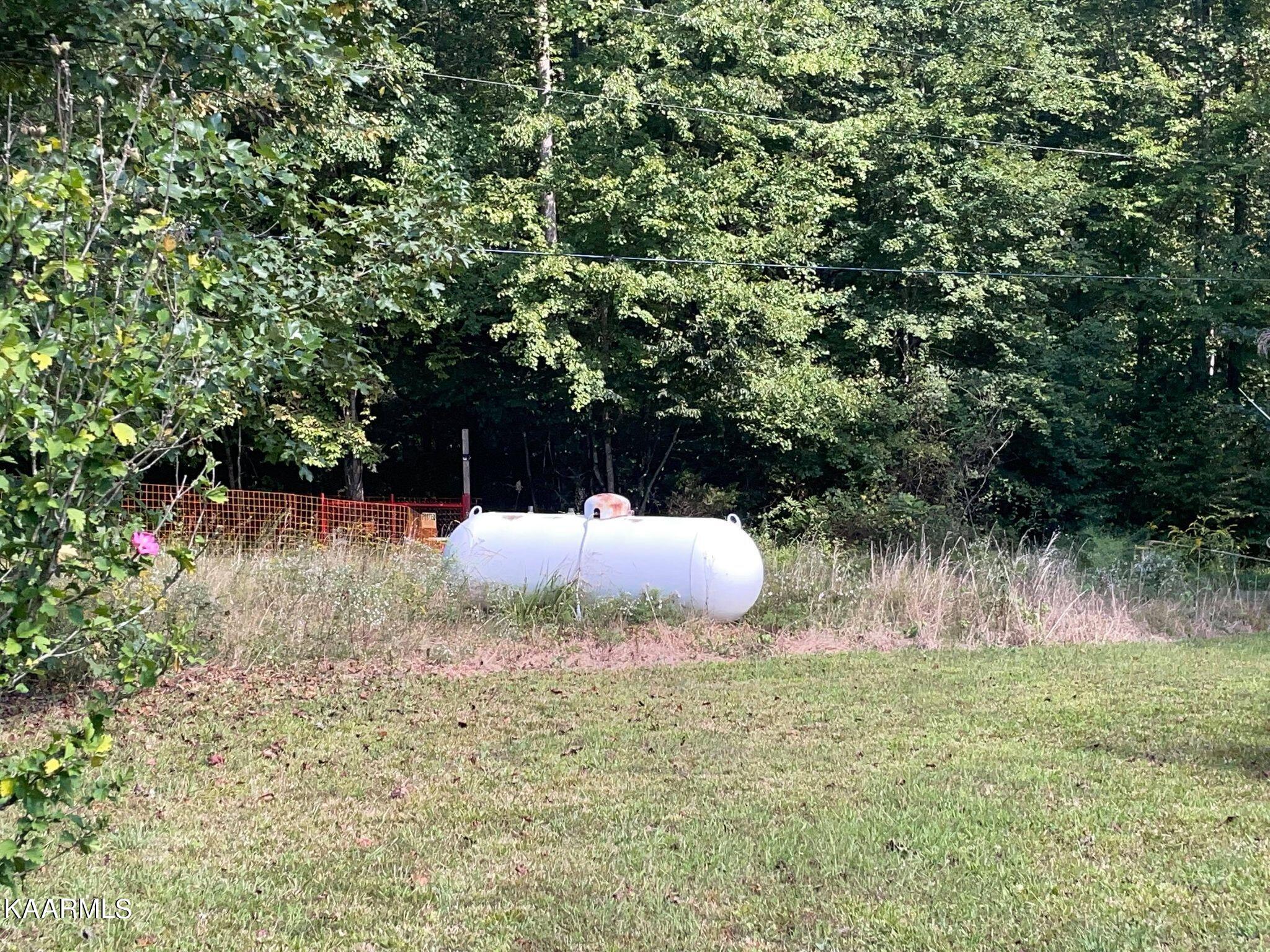 131 Rich Road Lancing, TN 37770 - Photo 42 of 45 241831088_911447719580163_41215376661951