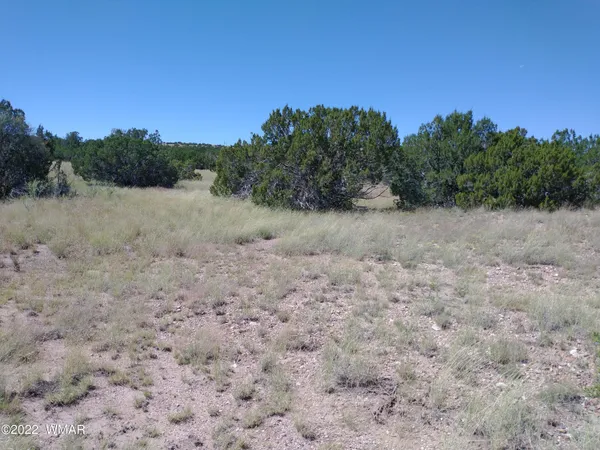 $16,000 | 147 Concho Drive, Concho, AZ 85924