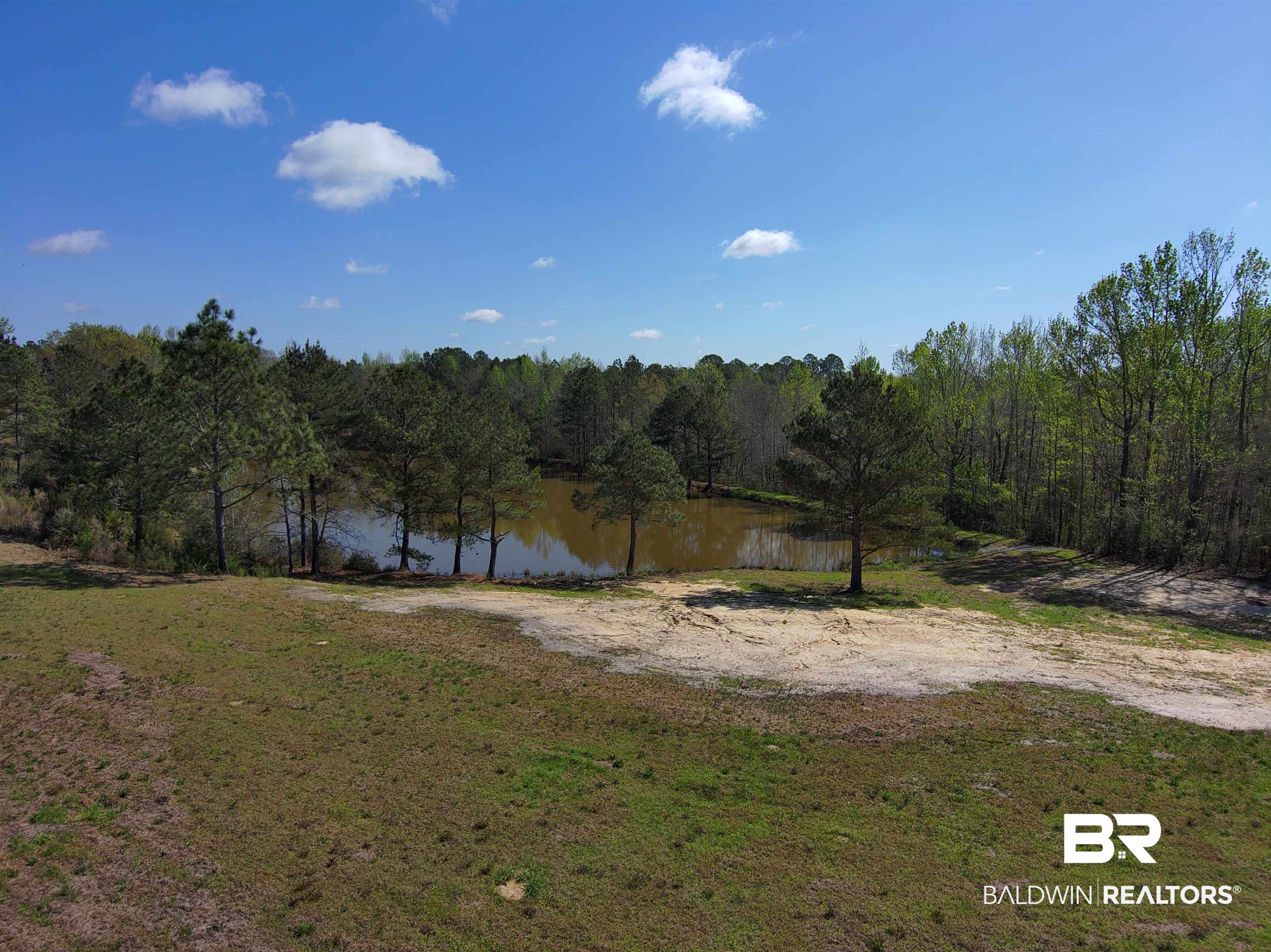 0 Gap Weekly Road Perdido, AL 36562 - Photo 5 of 20