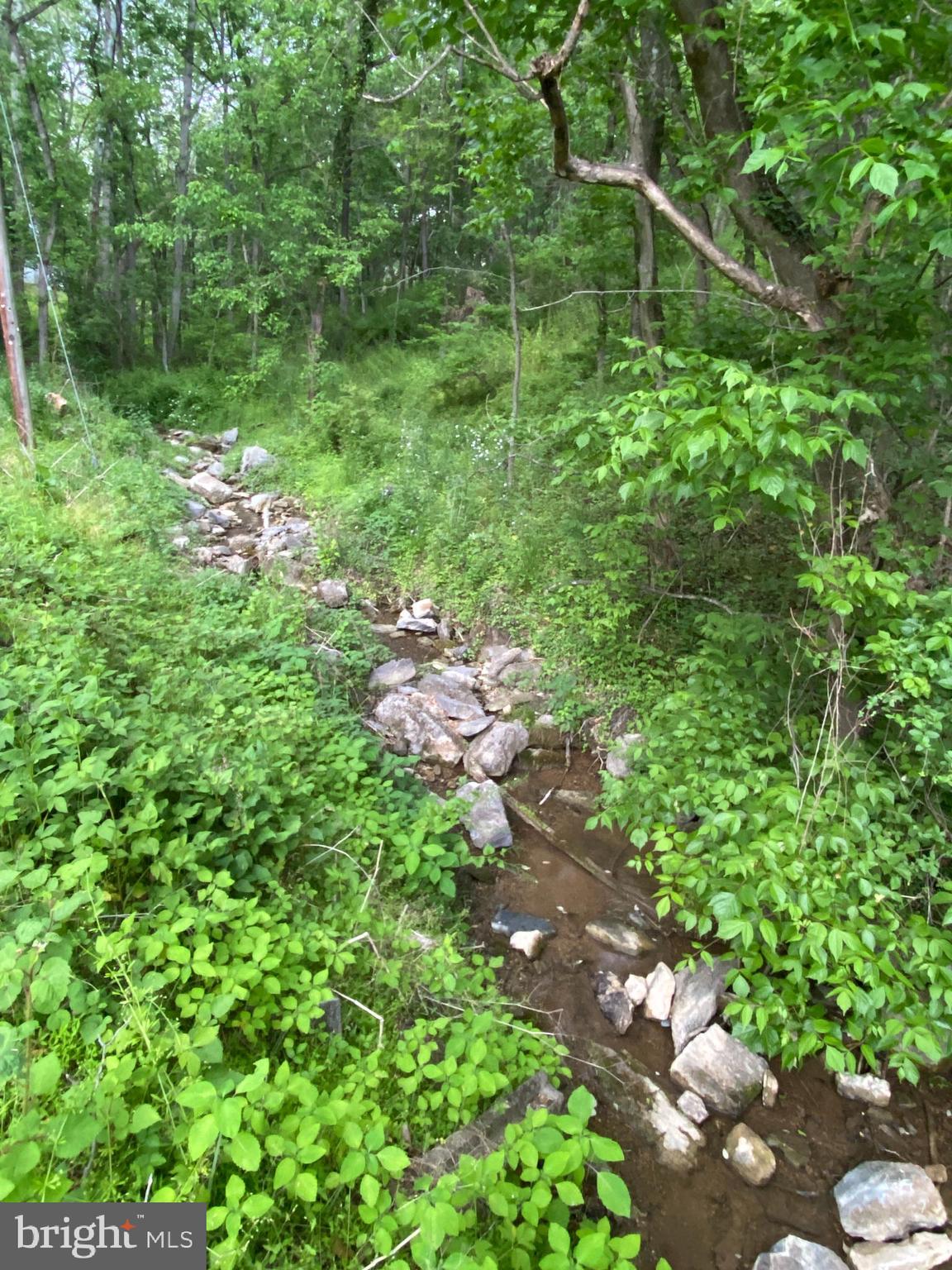17416 Millers Sawmill Road Sharpsburg, MD 21782 - Photo 18 of 24 Creek in front of the home
