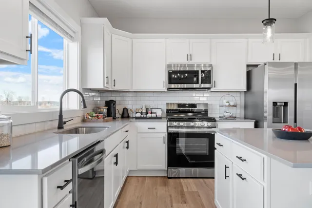 $2,725 | 11674 203rd Street West, Unit TAMARACK, Lakeville, MN 55044