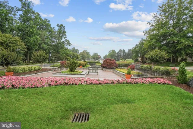 a view of a park with large trees