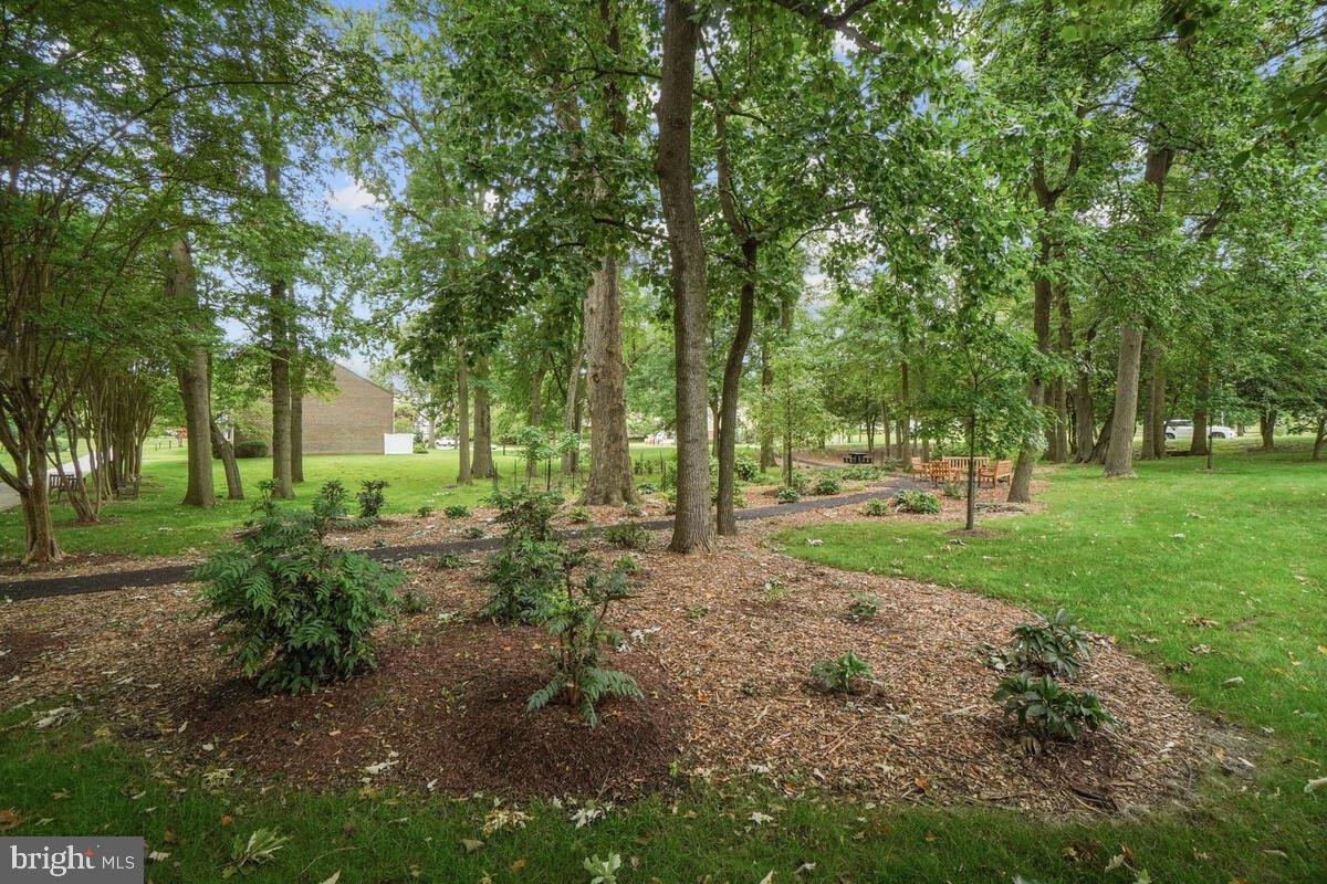 9 Fitzhugh Court, Unit 71B Silver Spring, MD 20906 - Photo 35 of 48 Lush greenery