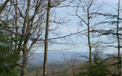 Lot 8 Hickory Ridge Ellijay, GA 30536 - Photo 1 of 1 Main View