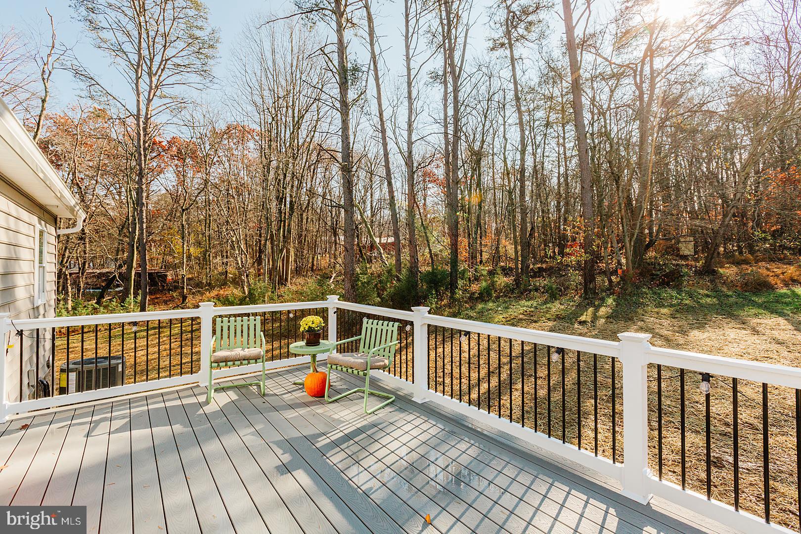 247 East Red Hill Road Conowingo, MD 21918 - Photo 58 of 68 Gallery Image 58