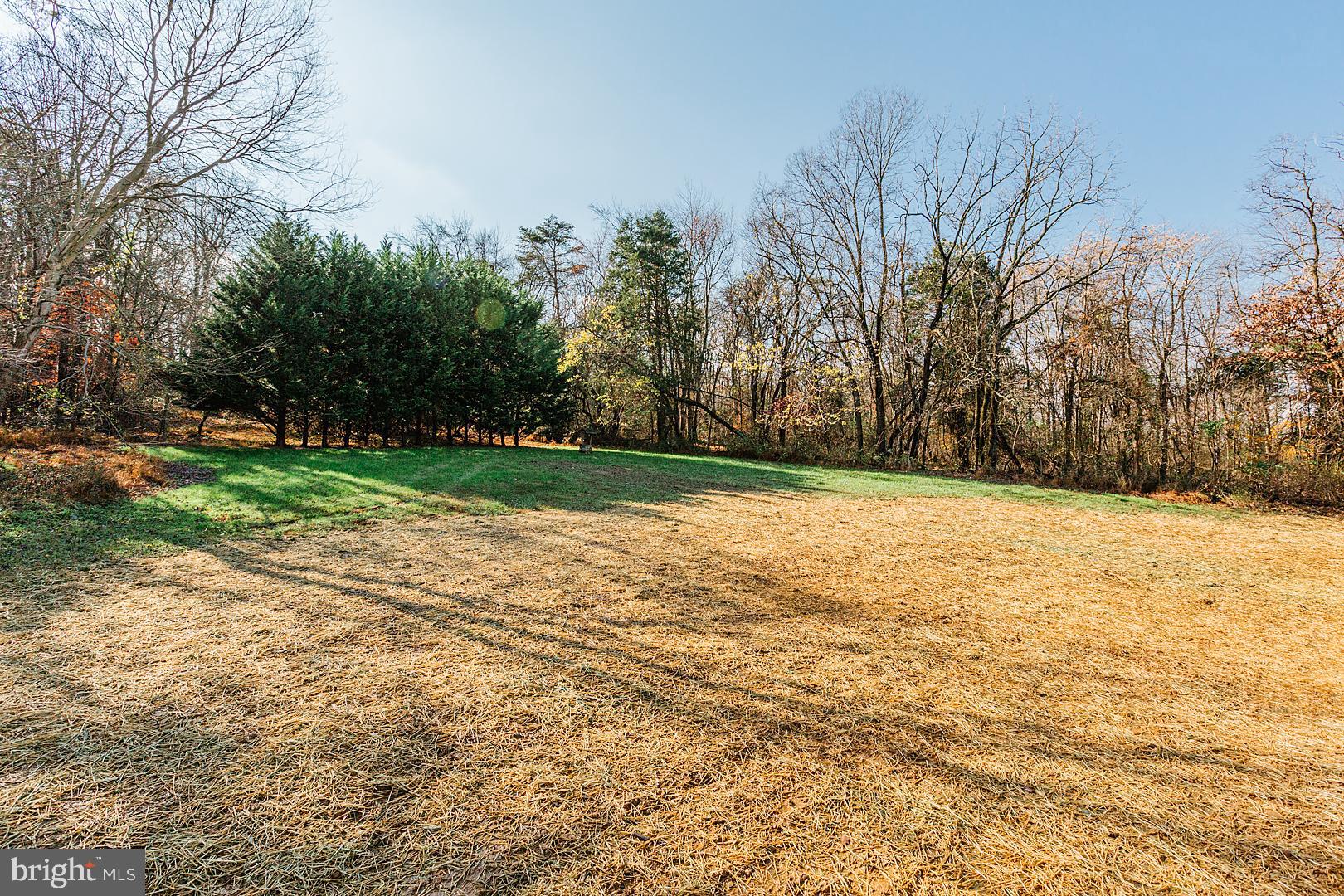 247 East Red Hill Road Conowingo, MD 21918 - Photo 60 of 68 The private backyard view