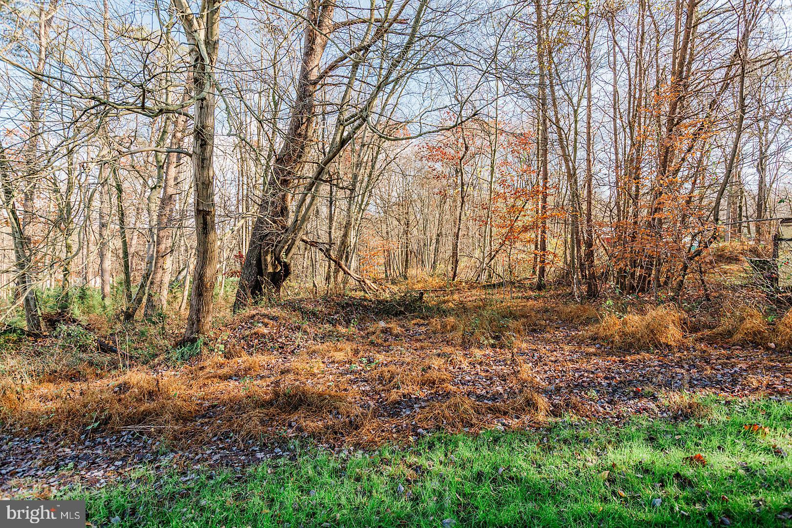 247 East Red Hill Road Conowingo, MD 21918 - Photo 64 of 68 Lot is partially wooded