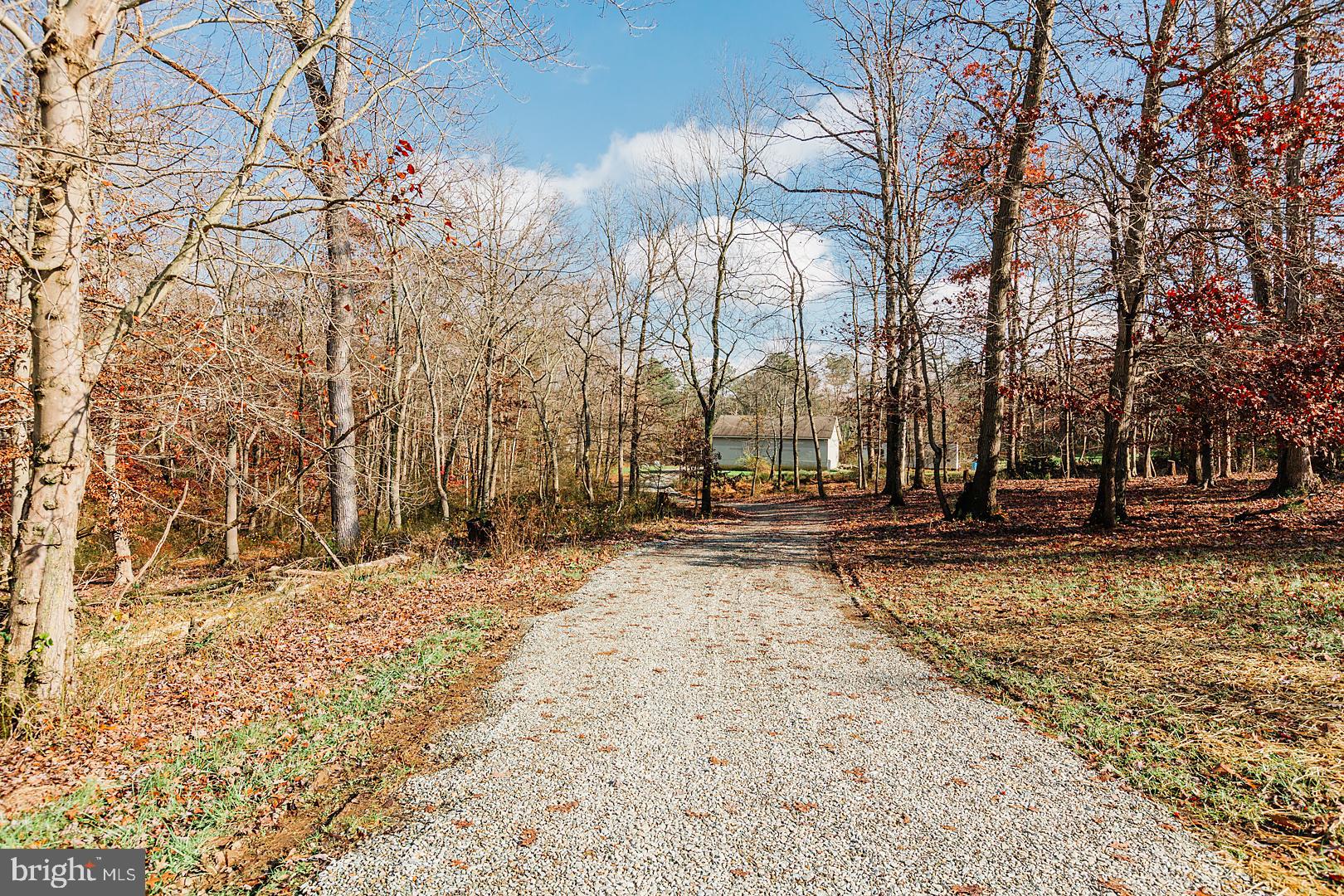 247 East Red Hill Road Conowingo, MD 21918 - Photo 8 of 68 Home is accessed via a winding, tree lined drive