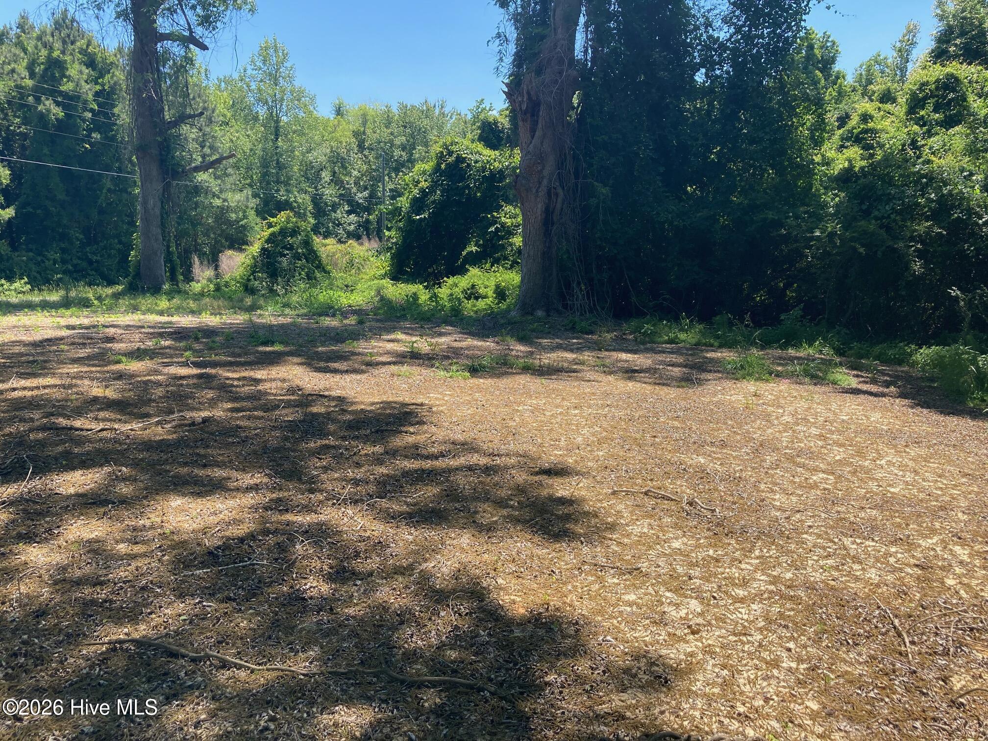 316 Bayview Road Bayview, NC 27808 - Photo 16 of 24 IMG_8225