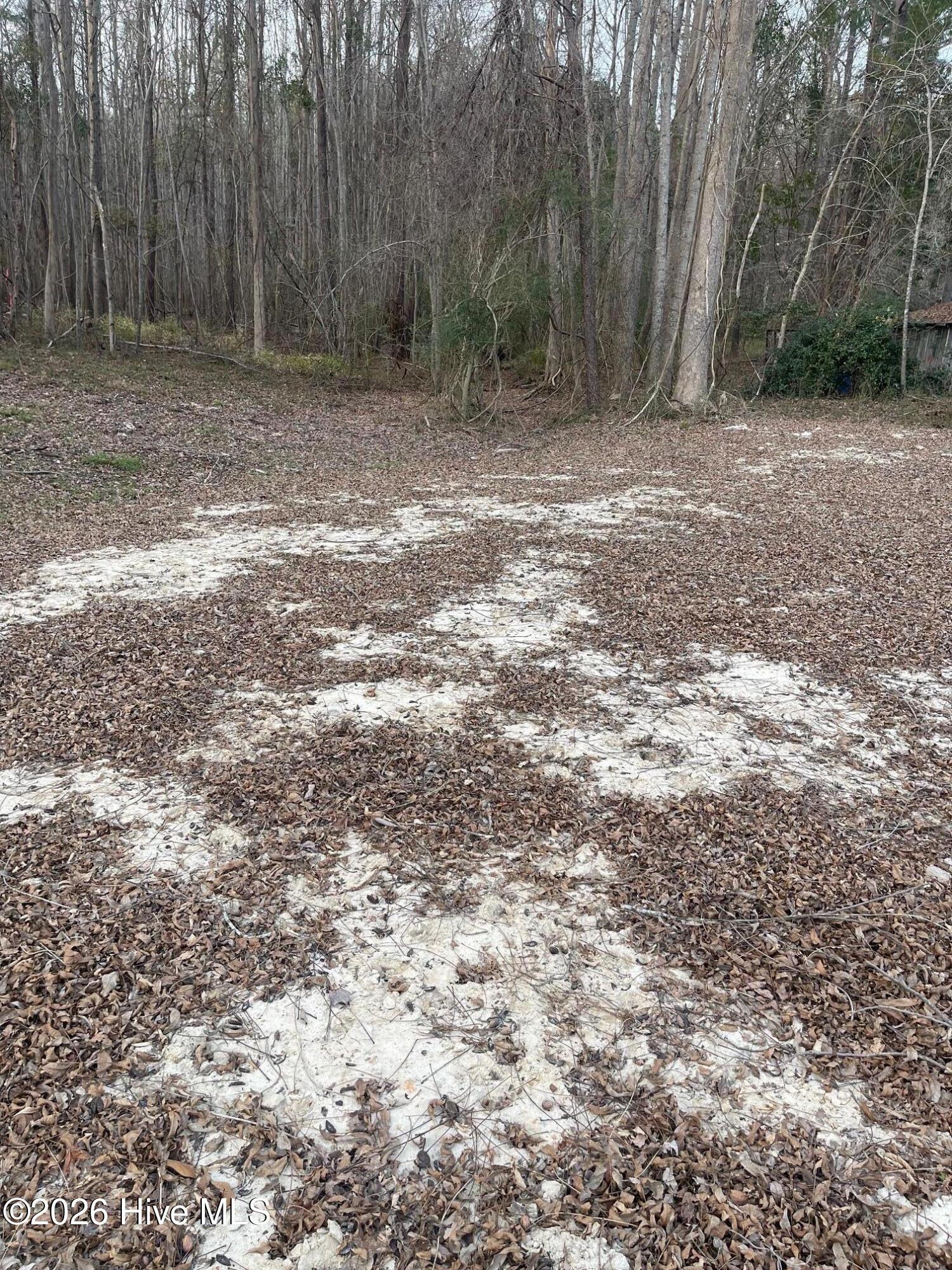 316 Bayview Road Bayview, NC 27808 - Photo 2 of 5 IMG_7385