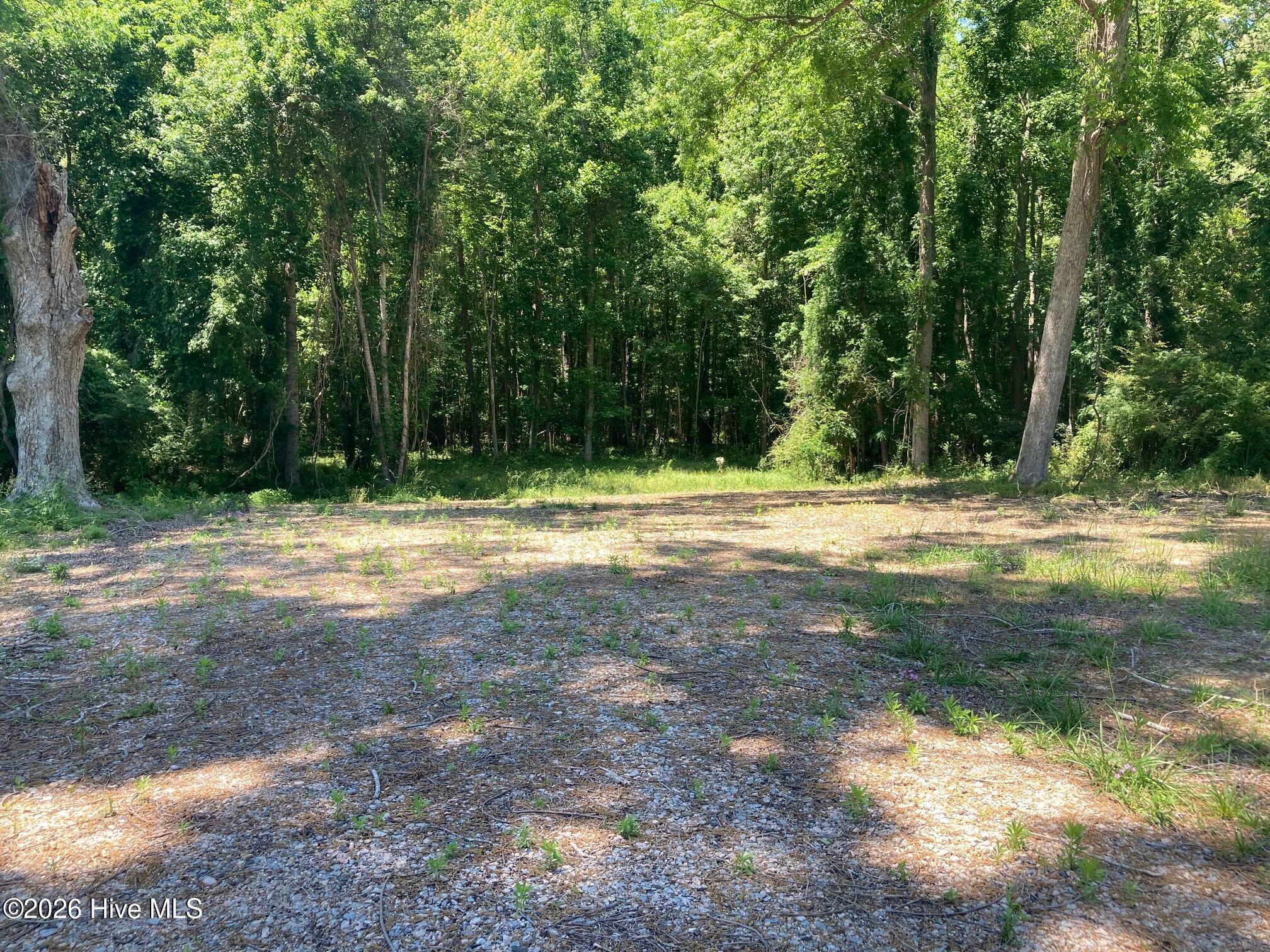 316 Bayview Road Bayview, NC 27808 - Photo 23 of 24 IMG_8236
