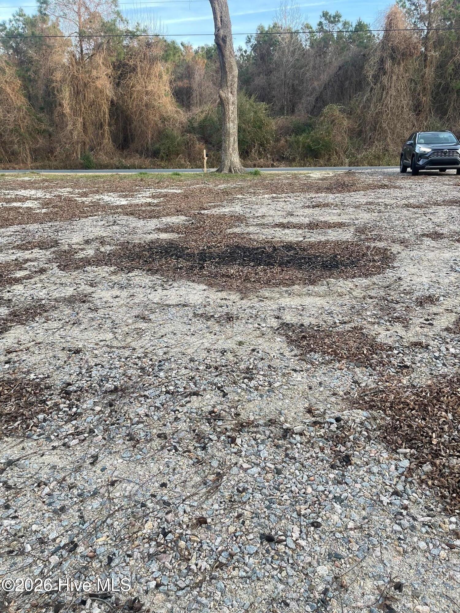 316 Bayview Road Bayview, NC 27808 - Photo 4 of 5 IMG_7387