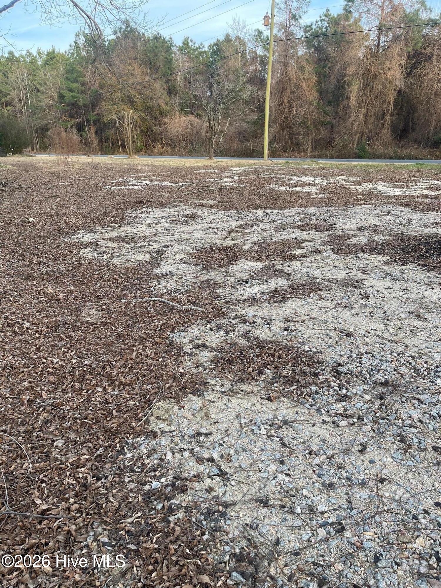 316 Bayview Road Bayview, NC 27808 - Photo 5 of 5 IMG_7388