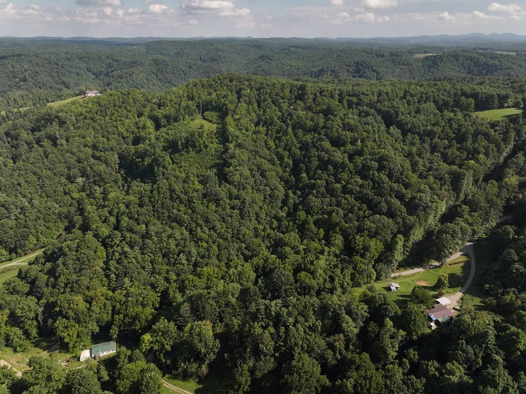Tbd Griffith Creek Road Northeast Check, VA 24072 - Photo 1 of 11 Gallery Image 1