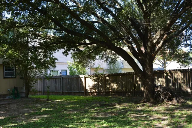 a view of backyard with tree