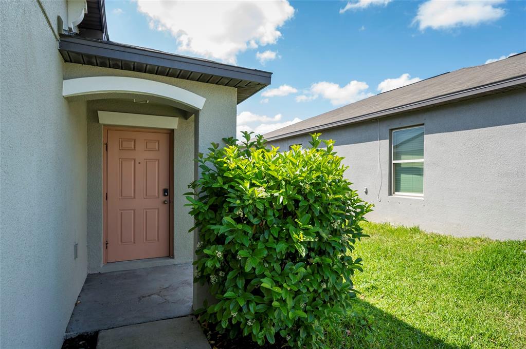 6562 Mineral Springs Road New Port Richey, FL 34653 - Photo 2 of 32