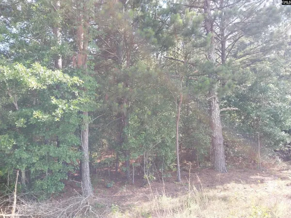 $49,000 | 408 Sells Court, Pelion, SC 29123