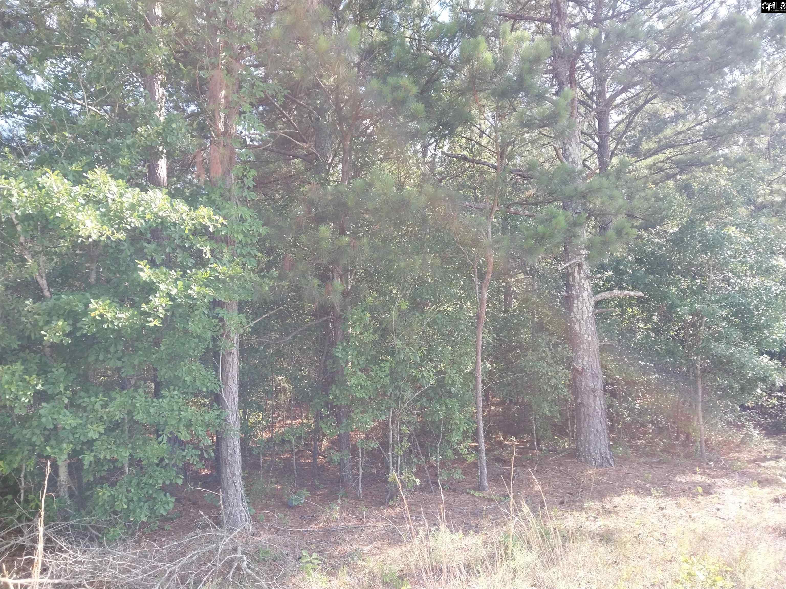 408 Sells Court Pelion, SC 29123 - Photo 1 of 6