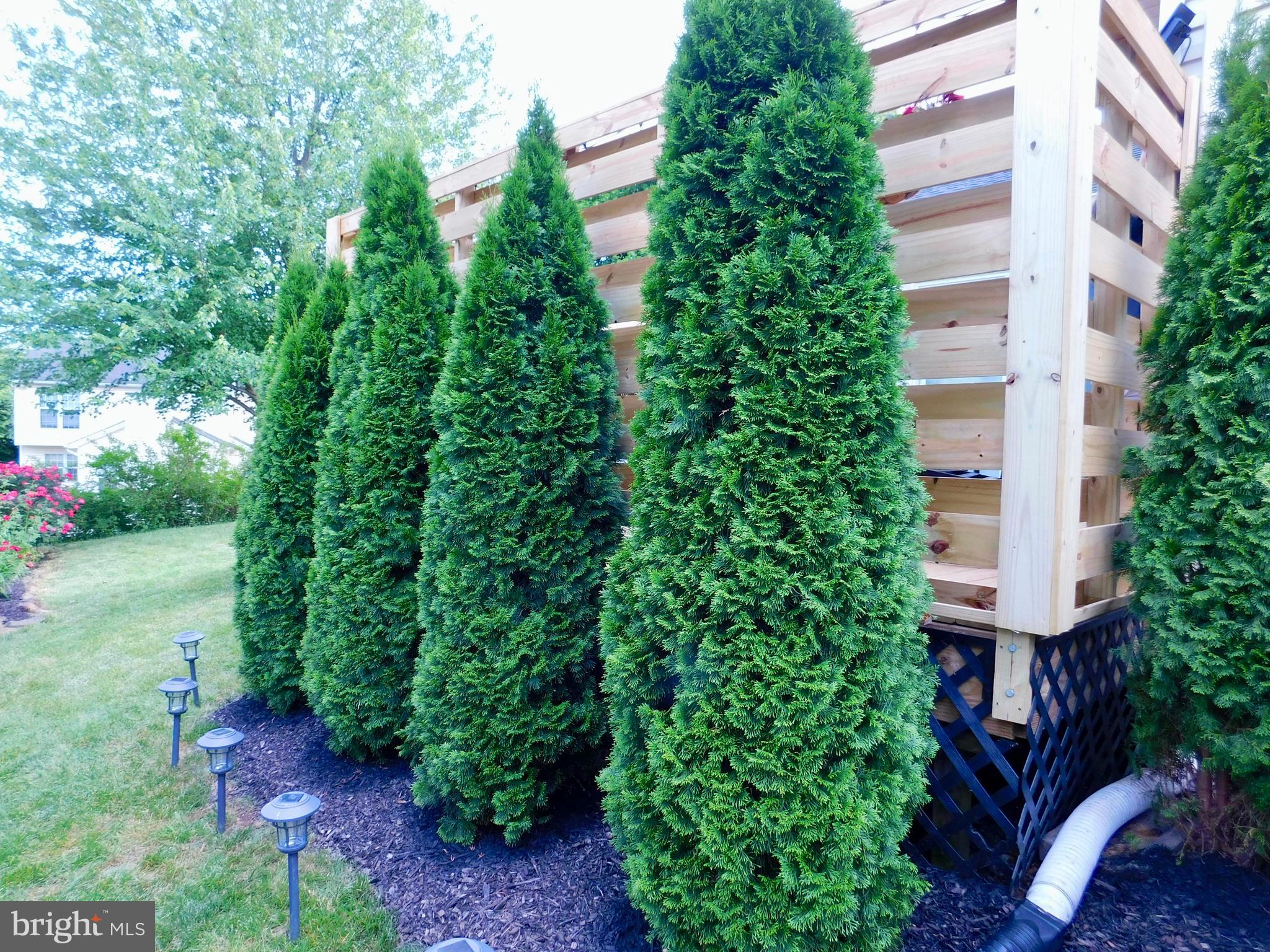 811 Benjamin Road Bel Air, MD 21014 - Photo 35 of 51 Beautiful shrubery