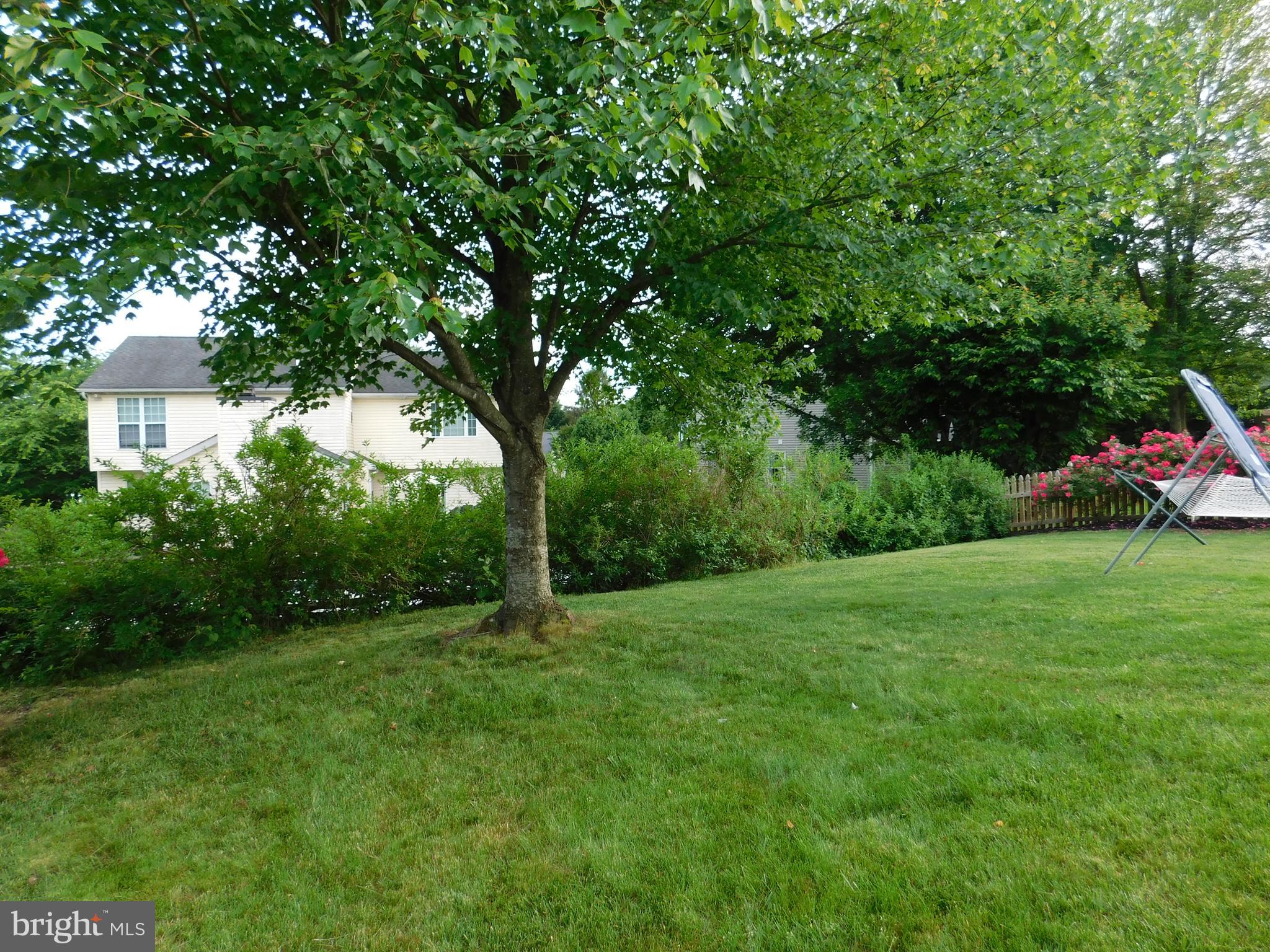 811 Benjamin Road Bel Air, MD 21014 - Photo 36 of 51 A pretty Tree for Shade.