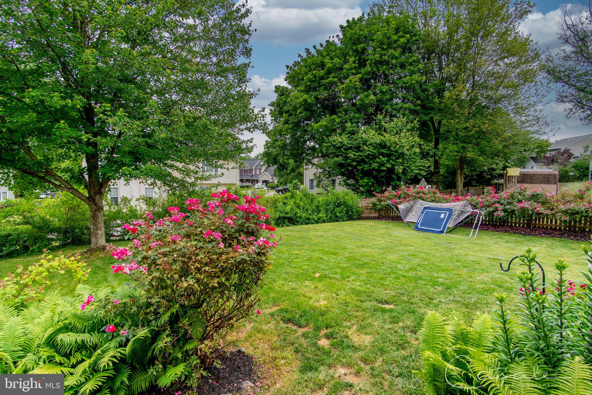 811 Benjamin Road Bel Air, MD 21014 - Photo 38 of 51 Gorgeous Yard.