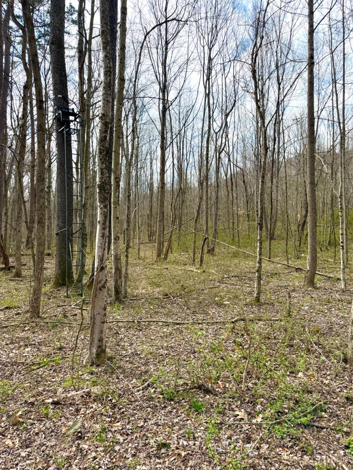 0 Fyffe Hollow Road Chillicothe, OH 45601 - Photo 64 of 96