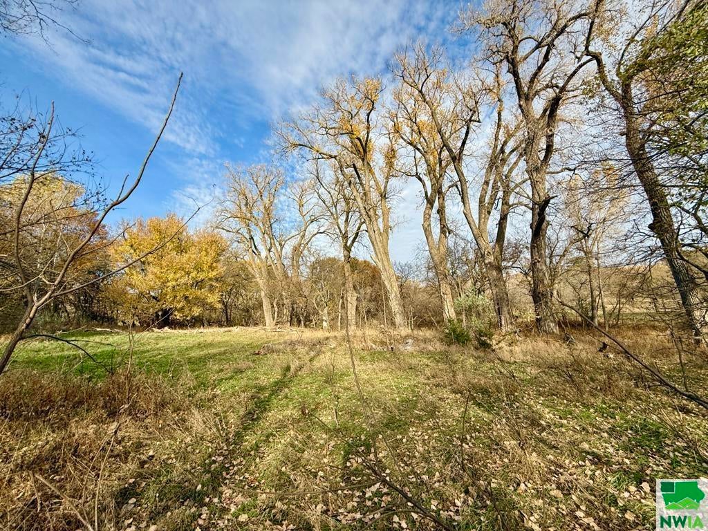 18485 Weber Road Westfield, IA 51062 - Photo 22 of 25 Gallery Image 22