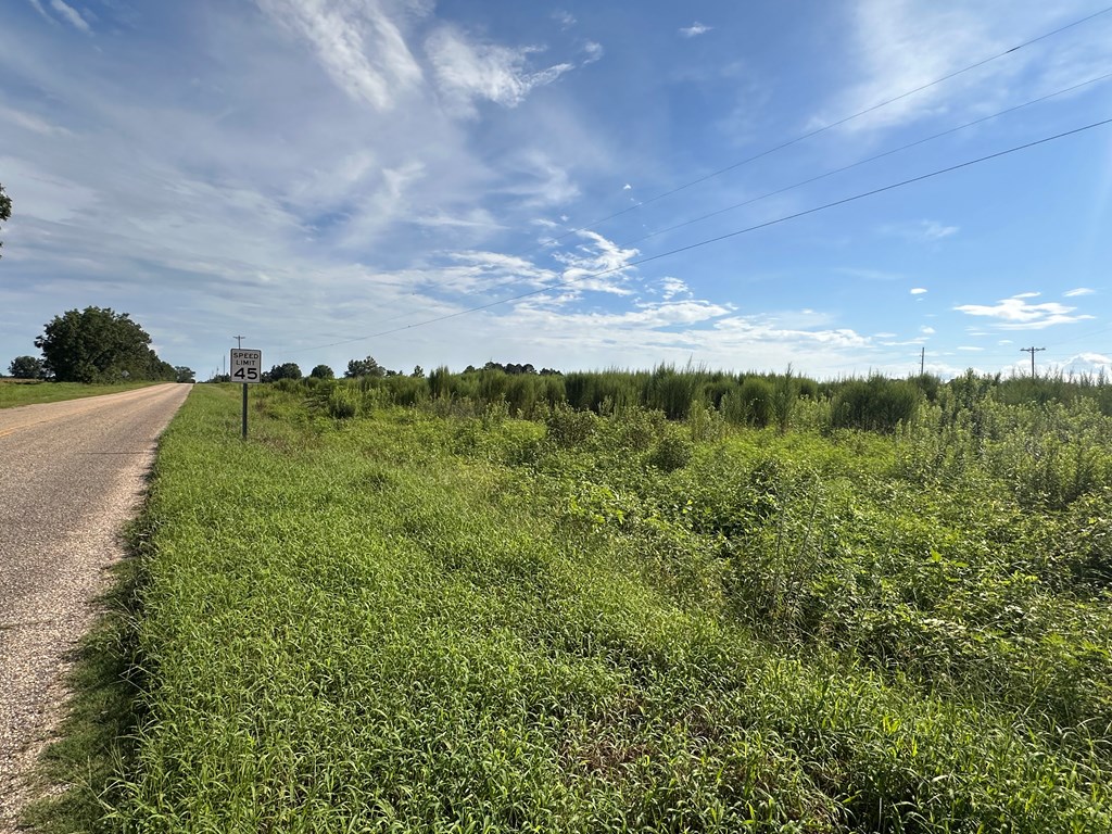 3-acres 3-acres Bill Yance Road Dothan, AL 36301 - Photo 5 of 7