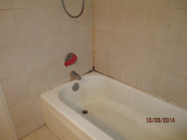 508 Creighton Lane Schaumburg, IL 60193 - Photo 9 of 15