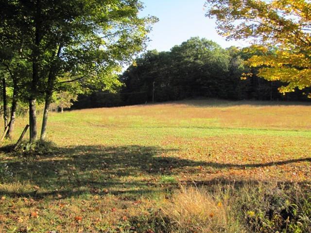 Rt1-bx283 Dunkard Church Road Lindside, WV 24951 - Photo 8 of 20 field