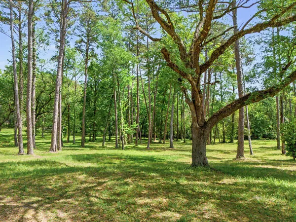 $959,000 | 3308 Gallant Fox Trail, Tallahassee, FL 32309