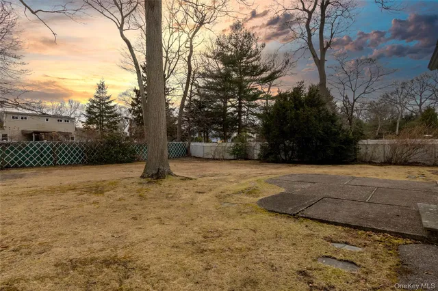 a view of backyard space