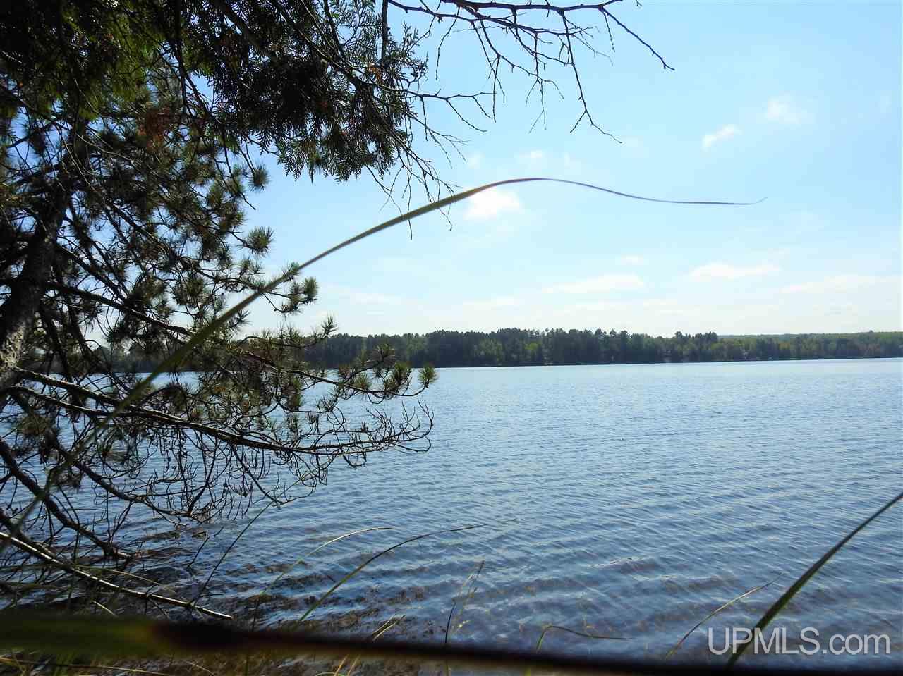 N4551 Weaver Road Florence, WI 54121 - Photo 3 of 10
