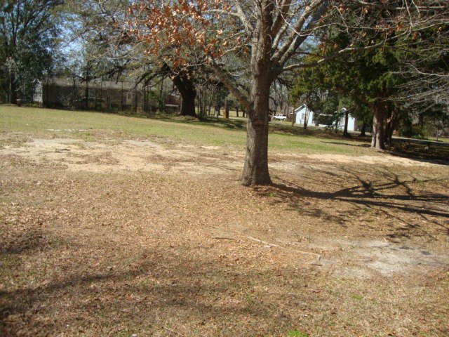126 Johnnie Ingram Road Webb, AL 36376 - Photo 14 of 34 Gallery Image 14