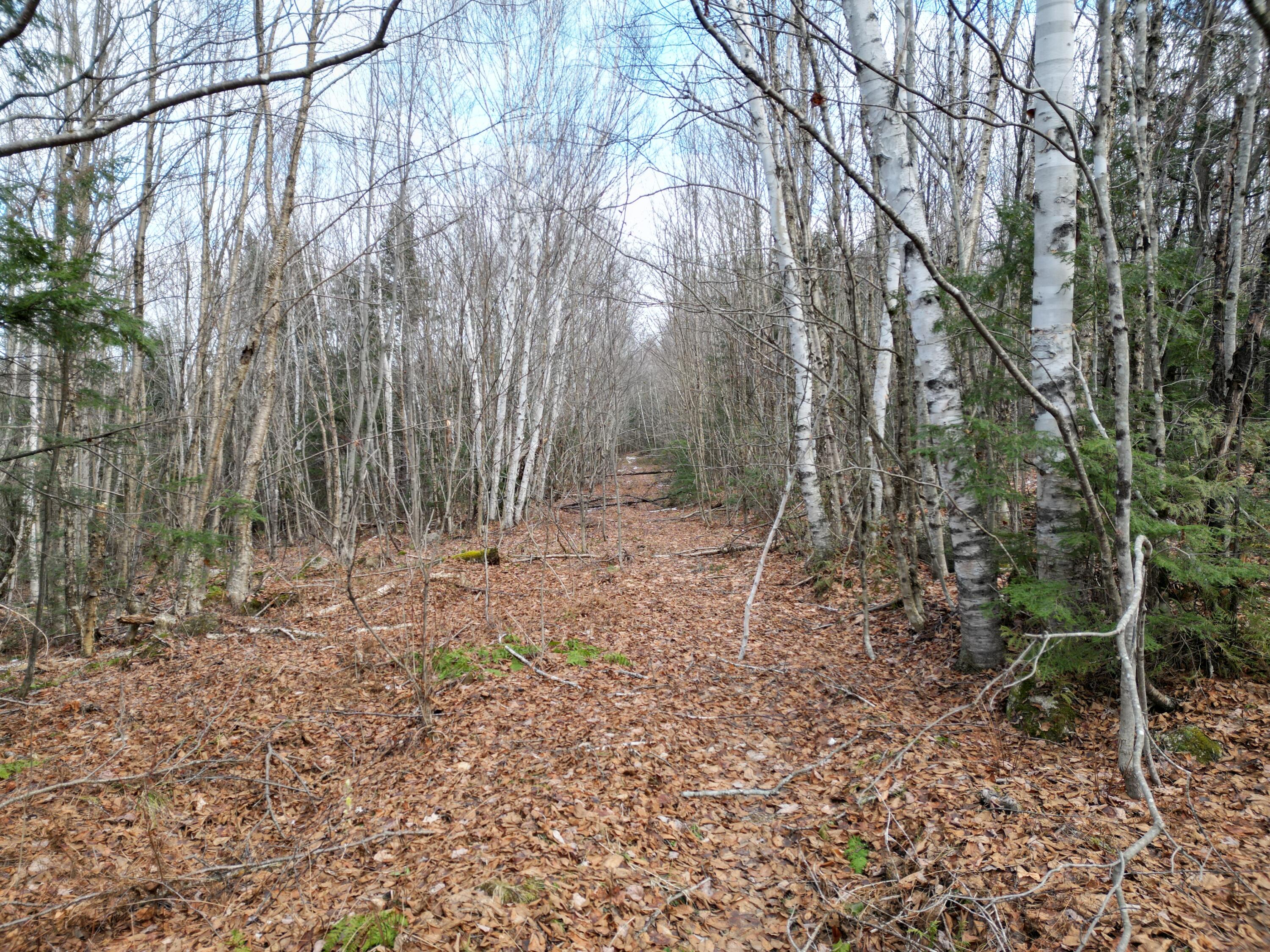 9 Upper Dobsis Road Lakeville, ME 04487 - Photo 18 of 29 DJI_0414