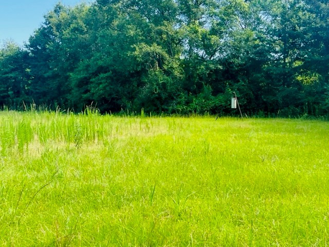 3024 Gibson Road McComb, MS 39648 - Photo 18 of 29 Photo 18