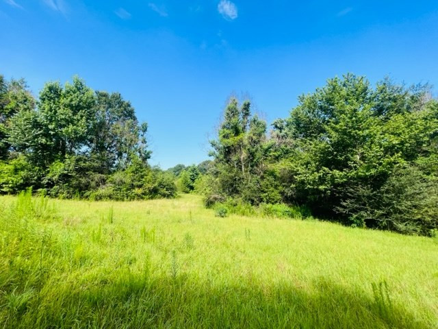 3024 Gibson Road McComb, MS 39648 - Photo 22 of 29 Photo 22