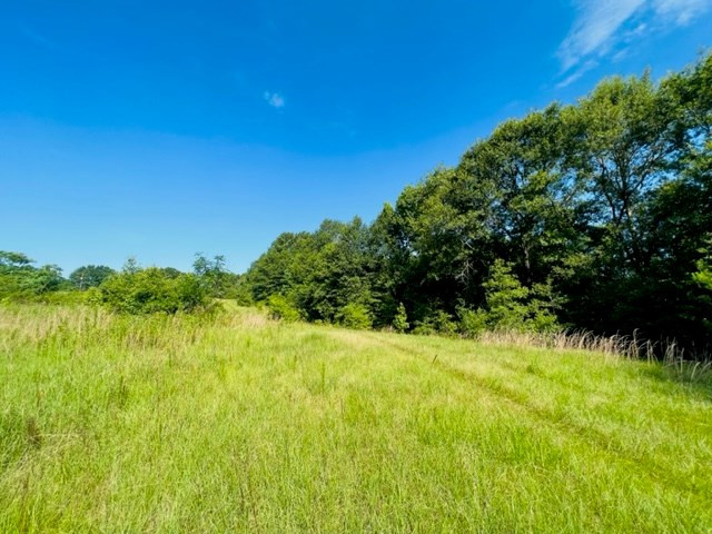 3024 Gibson Road McComb, MS 39648 - Photo 23 of 29 Photo 23
