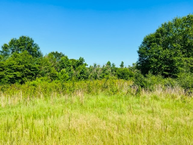 3024 Gibson Road McComb, MS 39648 - Photo 28 of 29 Photo 28